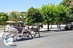 Corfu town | Corfu | Ionian Islands | Greece  - Photo 3 - Photo GreeceGuide.co.uk