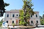 Mon Repos | Corfu | Ionian Islands | Greece  - Photo 7 - Photo GreeceGuide.co.uk