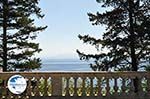 Mon Repos | Corfu | Ionian Islands | Greece  - Photo 21 - Photo GreeceGuide.co.uk