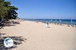 Kavos | Corfu | Ionian Islands | Greece  - Photo 4 - Photo GreeceGuide.co.uk