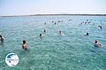  beach Molos near Lefkimi (Lefkimmi) | Corfu | Ionian Islands | Greece  - Photo GreeceGuide.co.uk