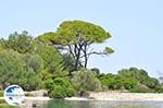 Gaios | Island of Paxos (Paxi) near Corfu | Ionian Islands | Greece  | Photo 085 - Photo GreeceGuide.co.uk