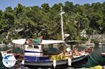 Gaios | Island of Paxos (Paxi) near Corfu | Ionian Islands | Greece  | Photo 094 - Photo GreeceGuide.co.uk