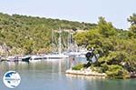 Gaios | Island of Paxos (Paxi) near Corfu | Ionian Islands | Greece  | Photo 096 - Photo GreeceGuide.co.uk