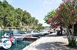 Gaios | Island of Paxos (Paxi) near Corfu | Ionian Islands | Greece  | Photo 100 - Photo GreeceGuide.co.uk