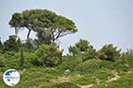 Island of Paxos (Paxi) near Corfu | Ionian Islands | Greece  | Photo 068 - Photo GreeceGuide.co.uk