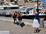 Island of Hydra Greece - Greece  Photo 31 - Photo GreeceGuide.co.uk