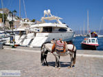 Island of Hydra Greece - Greece  Photo 35 - Photo GreeceGuide.co.uk