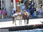 Island of Hydra Greece - Greece  Photo 74 - Photo GreeceGuide.co.uk