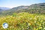 Othos | Karpathos island | Dodecanese | Greece  Photo 001 - Photo GreeceGuide.co.uk