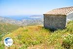 Othos | Karpathos island | Dodecanese | Greece  Photo 004 - Photo GreeceGuide.co.uk