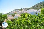 Othos | Karpathos island | Dodecanese | Greece  Photo 007 - Photo GreeceGuide.co.uk