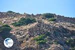 Arkasa (Arkassa) | Karpathos island | Dodecanese | Greece  007 - Photo GreeceGuide.co.uk