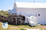 Arkasa (Arkassa) | Karpathos island | Dodecanese | Greece  010 - Photo GreeceGuide.co.uk