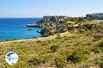 Amopi (Amoopi) | Karpathos island | Dodecanese | Greece  Photo 005 - Photo GreeceGuide.co.uk