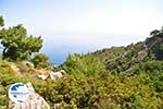 nature in the oosten of Karpathos | Greece  005 - Photo GreeceGuide.co.uk