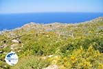 Central Karpathos between Spoa and Mesochori | Greece  Photo 005 - Photo GreeceGuide.co.uk