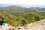 nature in the oosten of Karpathos | Greece  14 - Photo GreeceGuide.co.uk