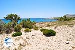 Diakofti beach | Beaches Karpathos | Greece  Photo 002 - Photo GreeceGuide.co.uk