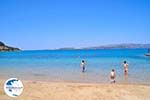Zee Lassi - Cephalonia (Kefalonia) - Photo 14 - Photo GreeceGuide.co.uk