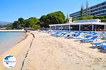 Lassi beach hotel Mediterranee Lassi - Cephalonia (Kefalonia) - Photo 15 - Photo GreeceGuide.co.uk