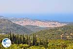 Argostoli town - Cephalonia (Kefalonia) - Photo 34 - Photo GreeceGuide.co.uk