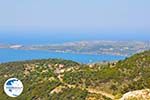 Argostoli bay - Cephalonia (Kefalonia) - Photo 39 - Photo GreeceGuide.co.uk