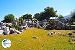 Beautiful nature - Cephalonia (Kefalonia) - Photo 43 - Photo GreeceGuide.co.uk