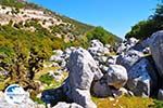 Beautiful landschap - Cephalonia (Kefalonia) - Photo 44 - Photo GreeceGuide.co.uk