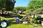 Beautiful landschap - Cephalonia (Kefalonia) - Photo 45 - Photo GreeceGuide.co.uk