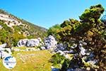 Beautiful landschap - Cephalonia (Kefalonia) - Photo 46 - Photo GreeceGuide.co.uk