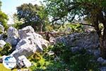 Beautiful landschap - Cephalonia (Kefalonia) - Photo 48 - Photo GreeceGuide.co.uk
