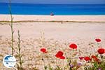 Myrtos beach - Cephalonia (Kefalonia) - Photo 59 - Photo GreeceGuide.co.uk