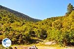 Berglandschap Ainos - Cephalonia (Kefalonia) - Photo 161 - Photo GreeceGuide.co.uk