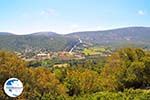 Robola wine region - Cephalonia (Kefalonia) - Photo 259 - Photo GreeceGuide.co.uk