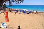 Makris Gialos Lassi - Cephalonia (Kefalonia) - Photo 267 - Photo GreeceGuide.co.uk