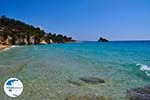 Platis Gialos Lassi - Cephalonia (Kefalonia) - Photo 286 - Photo GreeceGuide.co.uk