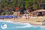 Makris Gialos-beach Lassi - Cephalonia (Kefalonia) - Photo 292 - Photo GreeceGuide.co.uk