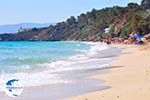 Makris Gialos-beach Lassi - Cephalonia (Kefalonia) - Photo 293 - Photo GreeceGuide.co.uk