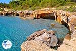 Baaien near Lassi - Cephalonia (Kefalonia) - Photo 305 - Photo GreeceGuide.co.uk