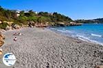 beach Gradakia in Lassi - Cephalonia (Kefalonia) - Photo 308 - Photo GreeceGuide.co.uk