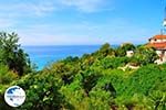 Lourdas - Lourdata - Cephalonia (Kefalonia) - Photo 353 - Photo GreeceGuide.co.uk