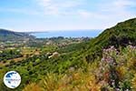 Katelios and the Katelios bay - Cephalonia (Kefalonia) - Photo 368 - Photo GreeceGuide.co.uk