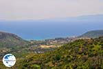 Near Katelios - Cephalonia (Kefalonia) - Photo 457 - Photo GreeceGuide.co.uk