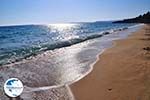 beach Makris Gialos Lassi - Cephalonia (Kefalonia) - Photo 496 - Photo GreeceGuide.co.uk