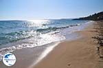 beach Makris Gialos Lassi - Cephalonia (Kefalonia) - Photo 497 - Photo GreeceGuide.co.uk
