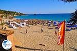 beach Makris Gialos Lassi - Cephalonia (Kefalonia) - Photo 501 - Photo GreeceGuide.co.uk