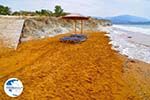 Xi Beach, the rode beach - Cephalonia (Kefalonia) - Photo 523 - Photo GreeceGuide.co.uk