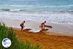 Xi Beach, the rode beach - Cephalonia (Kefalonia) - Photo 528 - Photo GreeceGuide.co.uk