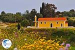 Near Lixouri on the schiereiland Paliki - Cephalonia (Kefalonia) - Photo 537 - Photo GreeceGuide.co.uk